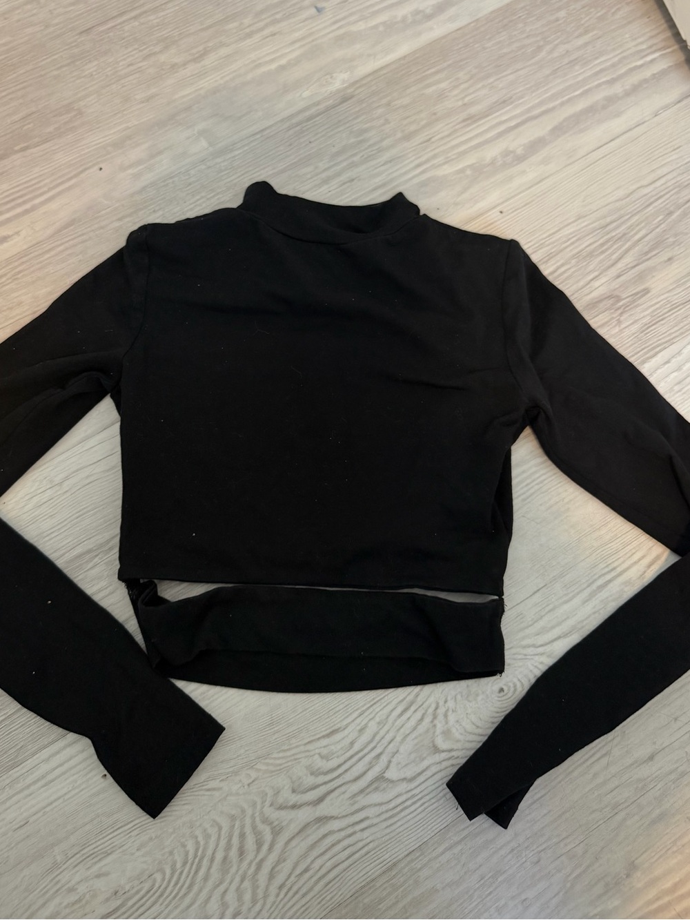 Tiger Mist Black Cropped Long-Sleeve Mock Neck Top